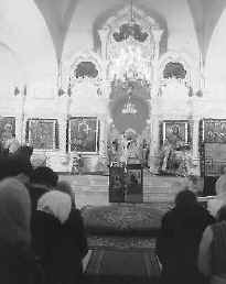 Фото Е. Крылова