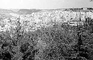 wpe67A.jpg (16935 bytes)