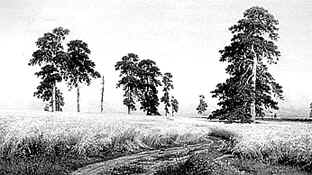 Рожь. Худ. И.И. Шишкин. 1878 г.